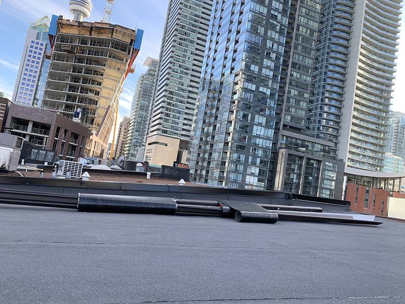 Modern residential flat roof home in Toronto